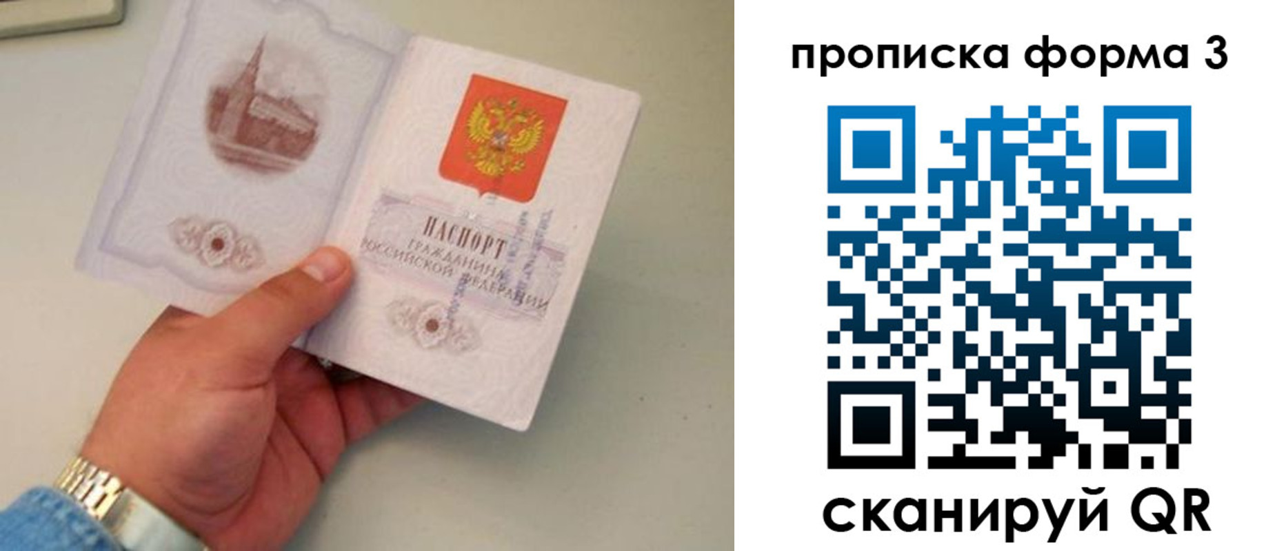 временная регистрация купить в Димитровграде